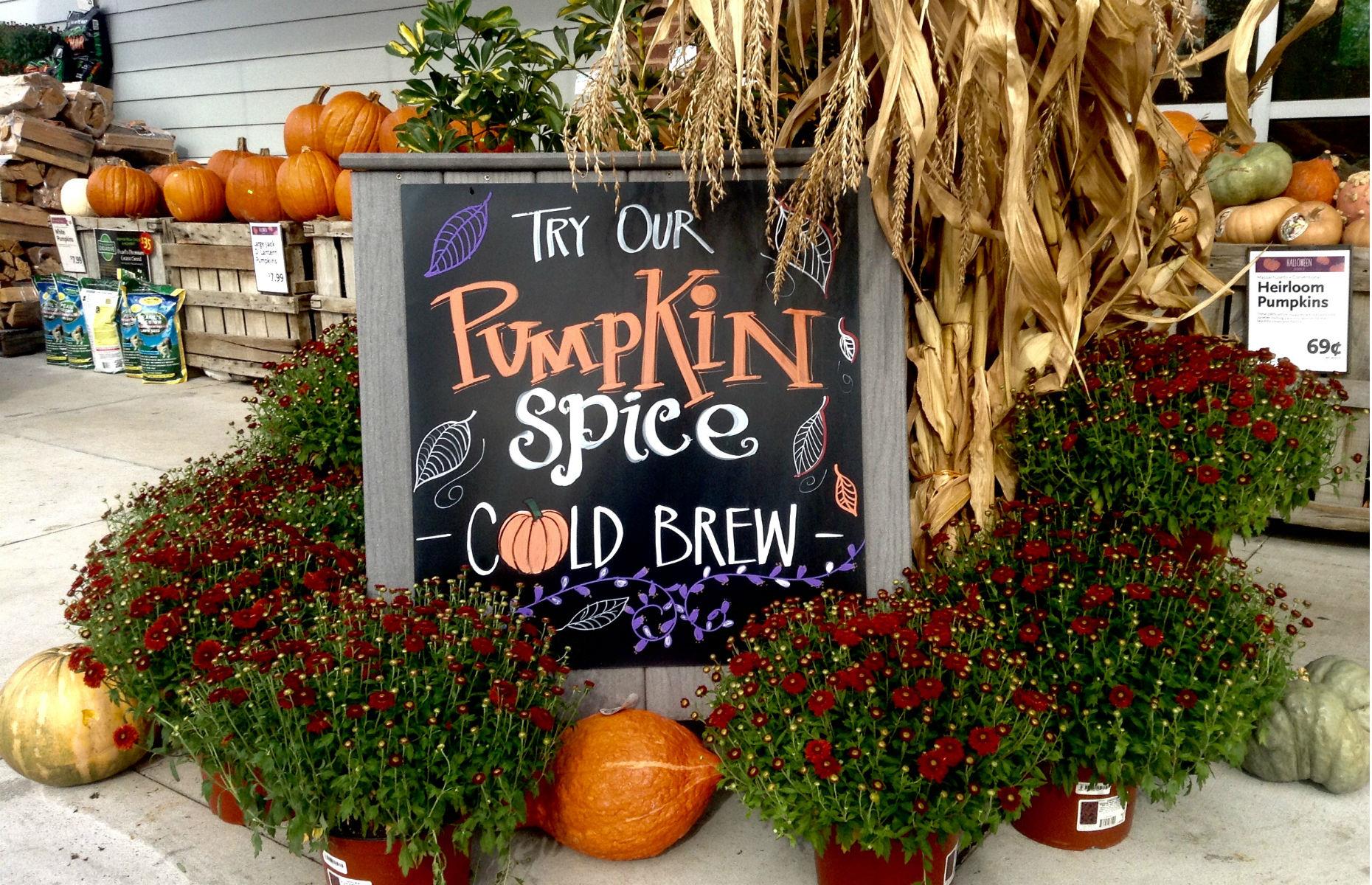 Pumpkin spice everything